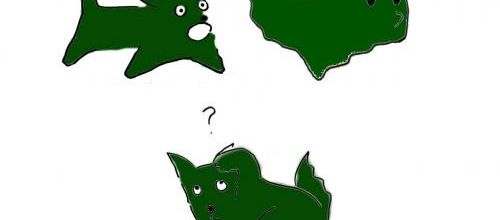 CM1-CM2 : Étude de la langue (1) 