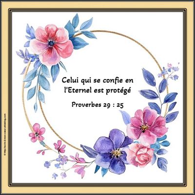 Proverbes 29 : 25