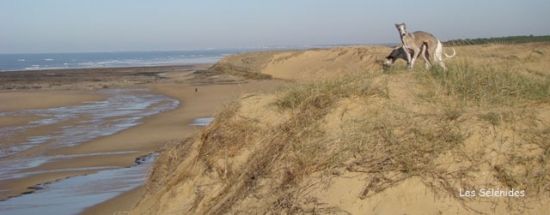 De retour à la plage!