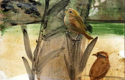 Pourquoi mon oiseau ne chantes-tu pas ? * Γιατί πουλί δεν κελαηδείς