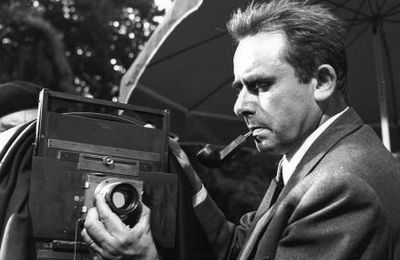 HENRI GEORGES CLOUZOT BOX OFFICE