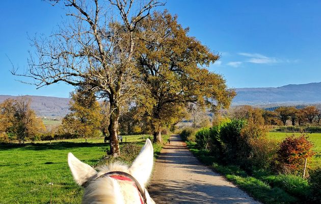 Le 8 novembre 2024 : Petite sortie à cheval