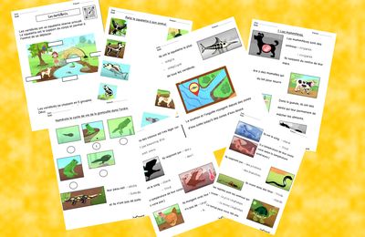 Les vertébrés: à partir d'une vidéo.