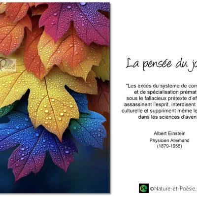 La pensée du jour (276)