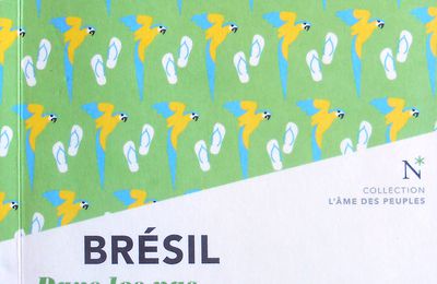 Brésil. Dans les pas du géant ≡ Patrice Montagu-Williams