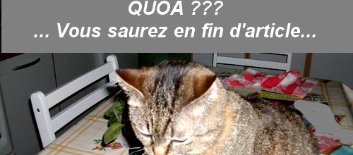 Jarry à ton tour...