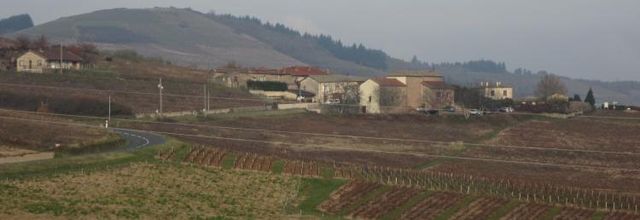 St Joseph en Beaujolais..