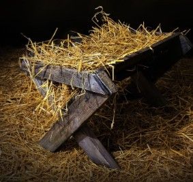 Nouvelles des franciscains séculiers (laïcs) dans le monde