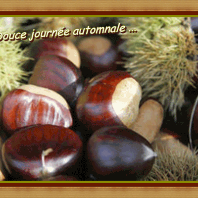 Retrouvons la châtaigne "gourmande"...