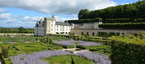 ... un jardin...