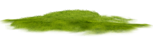 ѼVegetation