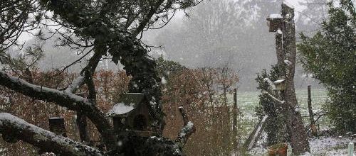 Hiver, y es-tu ?