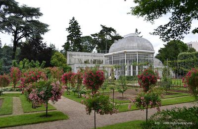 Jardins Albert Kahn : La Roseraie