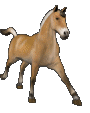 Boutis : coussin cheval