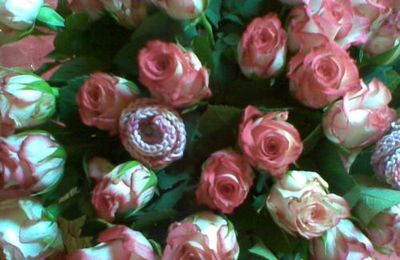 Des roses roses...
