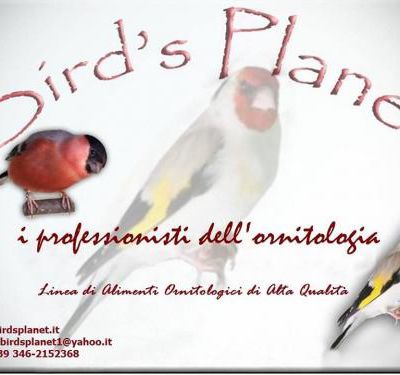 Bird's planet : Des Produits 100% Naturel à votre dispositions (( ICI )) 