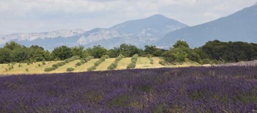 paysage