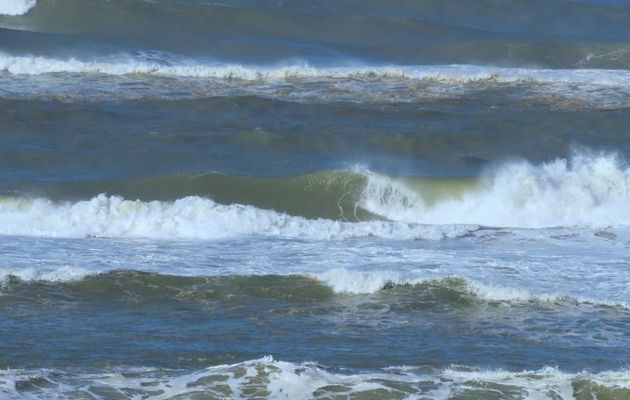 le Cap Ferret - Gironde 33