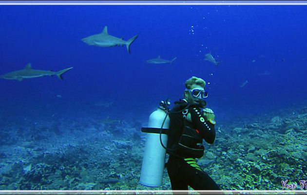 Plongée avec Nikita à la passe Tumakohua (Tetamanu, passe sud) - Atoll de Fakarava - Tuamotu - Polynésie française
