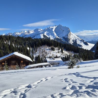 Rando du jeudi 04/12/2025 : Col de la Croix Fry – Plateau de Beauregard en raquettes