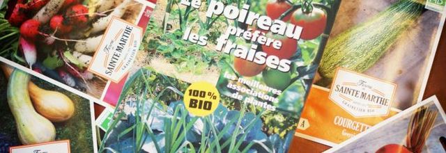 Le potager du Terrier - fin du printemps 2016