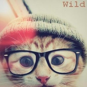 Wild Paradise