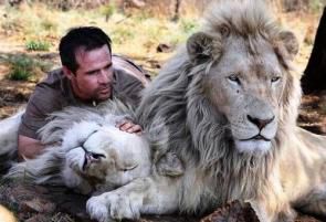 Animal mon ami