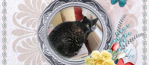 Hommage à Lisa