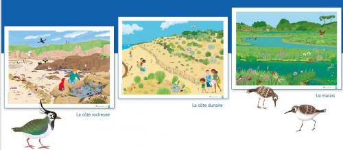 3 affiches littoral