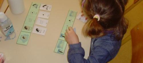 travail sur les phrases - GS