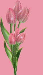 S'abandonner à la vie (florale)