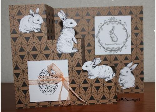 Une histoire de petits lapins...