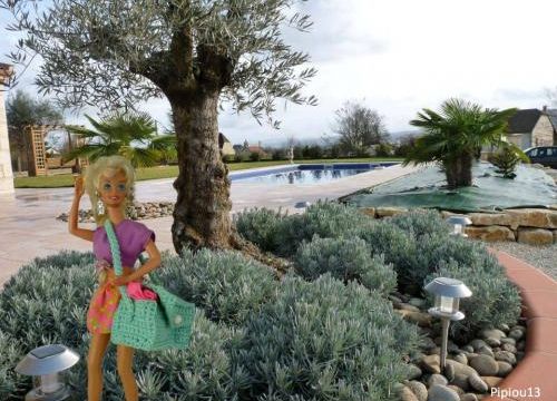 Barbies : Retrouvailles à Pipiouland