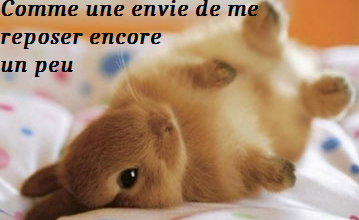 Bonjour