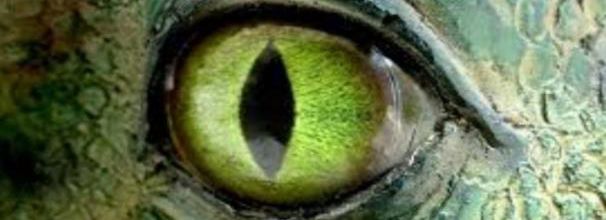 Les Reptiliens : aliens extraterrestres ou aliens terriens?