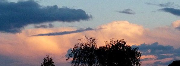 En contre-jour