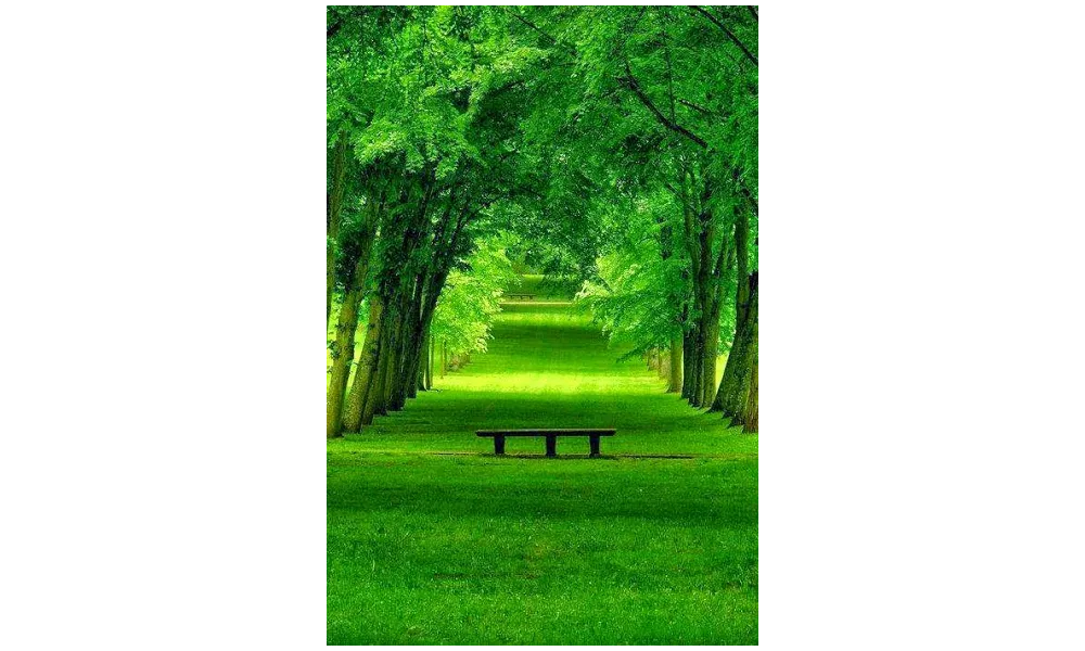 Promenons nous dans les bois...
