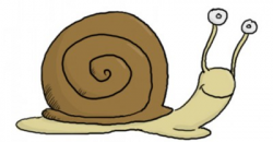 Escargot
