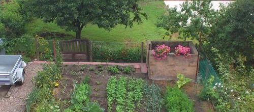 Mon jardin 