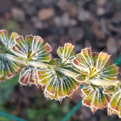 Et moi, pendant c'temps-là ...
