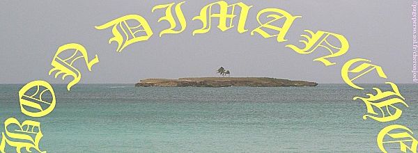 REALITE DE LA VIE