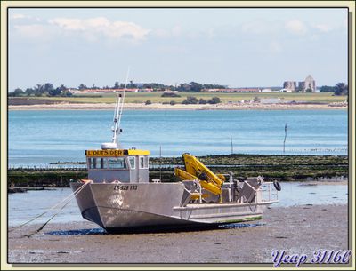 L'Outsider à marée basse - La Flotte - Ile de Ré - 17