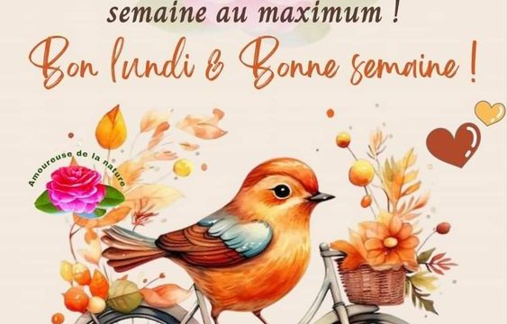 Coucou