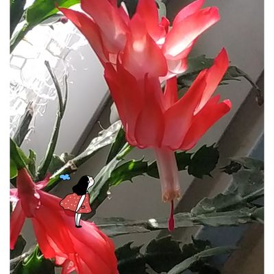 Procès du docteur en ce moment aux assises...