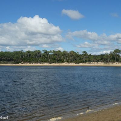 Une balade autour du Lac de VIEUX BOUCAU (40), le 3 octobre (suite)...