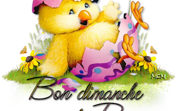 Joyeuse fête de Pâques 