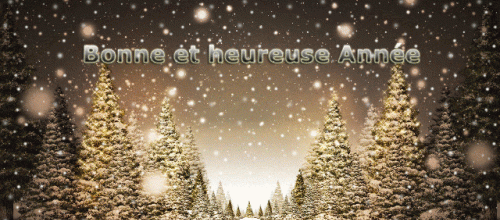 Bonne Année 2019!