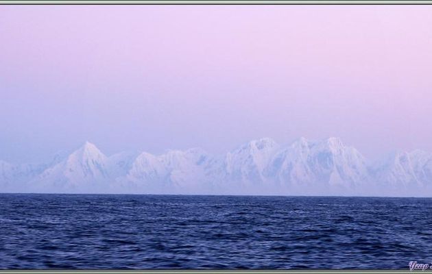 20 février, 22 heures, 62°36.04' S : au loin, dans les couleurs de la nuit tombante, les premiers sommets du continent Antarctique se dévoilent  