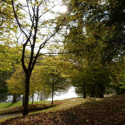 Au Parc de Clères (76 )