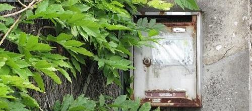... la poste se met au vert...?